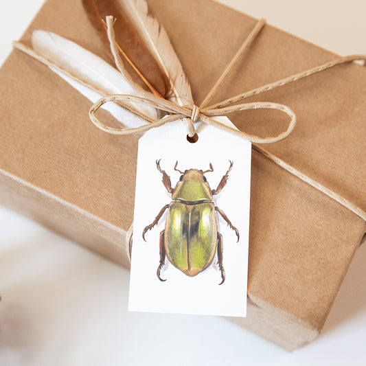 Golden Scarab Beetle Gift Tags - set of 6