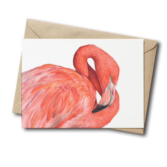 Great Flamingo - Greeting Card