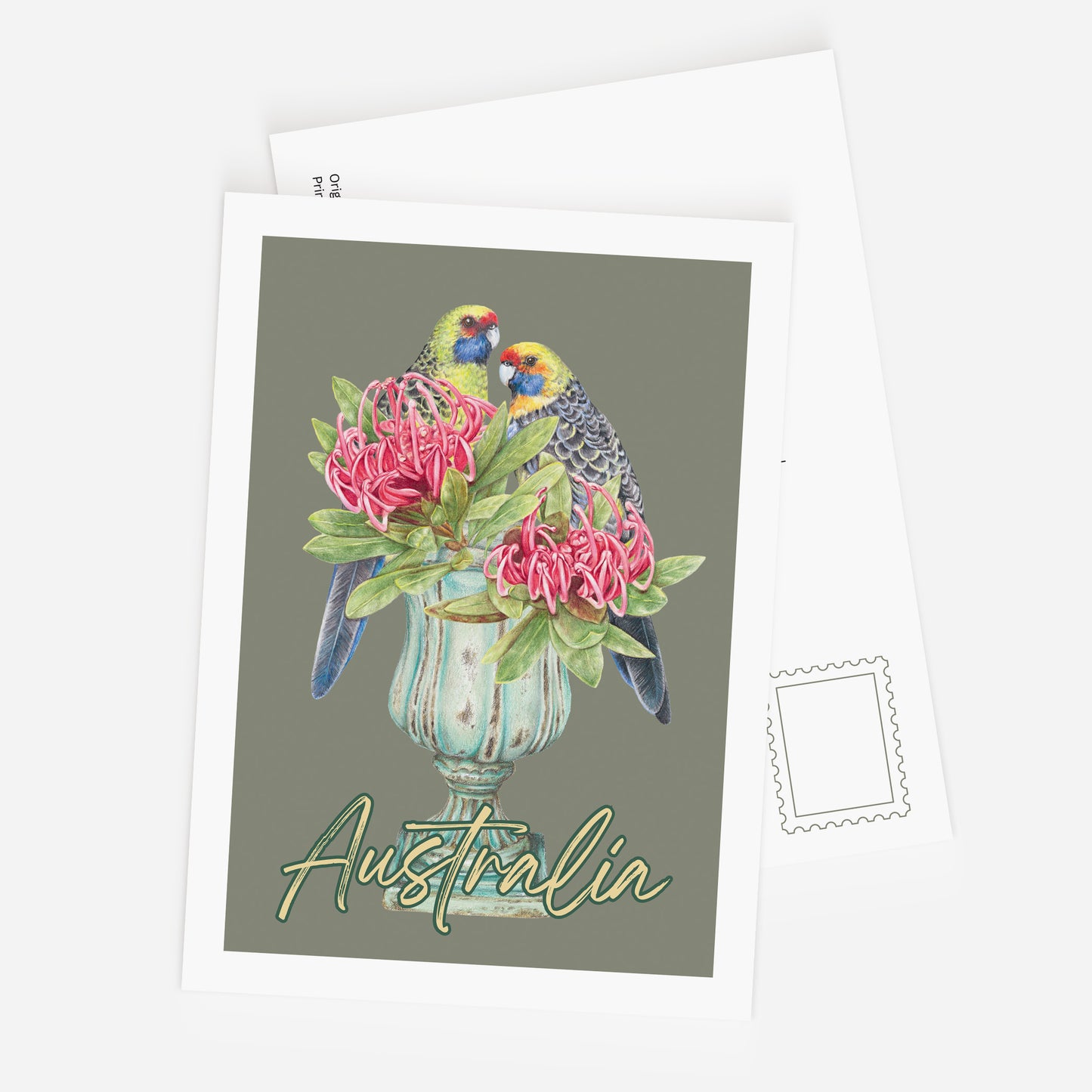 Green Rosella - Postcard