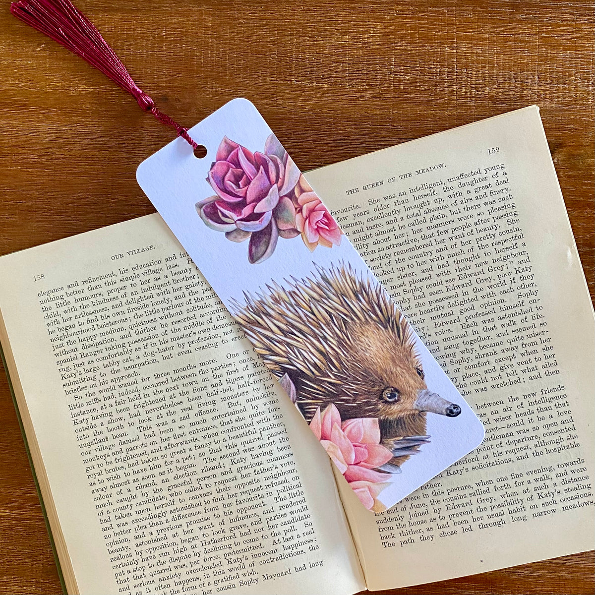 Short-beaked Echidna - Bookmark