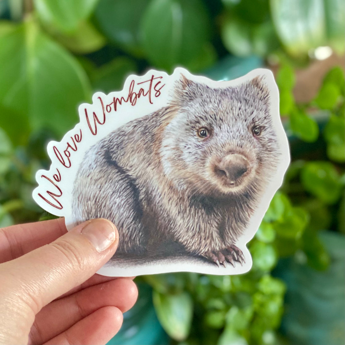 We love Wombats - Sticker