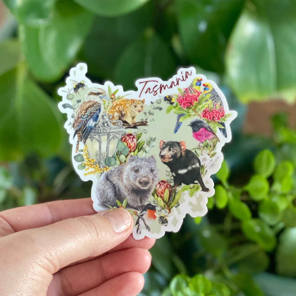 Love from Tasmania - Sticker