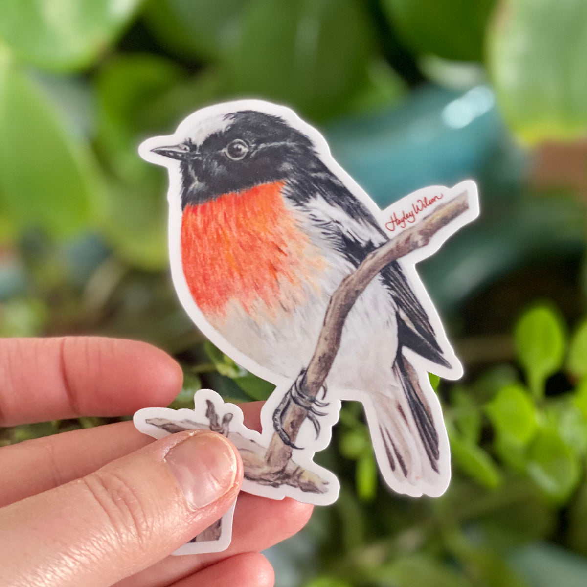 Scarlet Robin - Sticker
