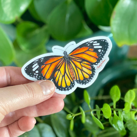 Monarch Butterfly - Sticker