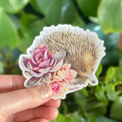 Short-beaked Echidna - Sticker