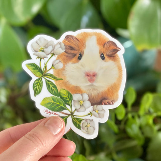Hide and Seek - Sticker