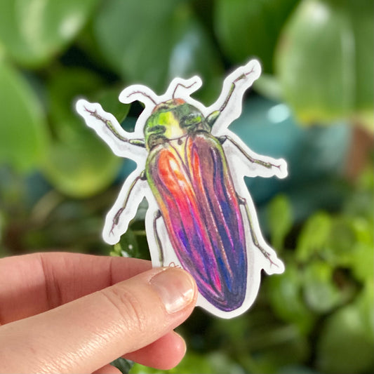 Rainbow Scarab Beetle - Sticker