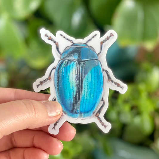 Blue Scarab Beetle - Sticker