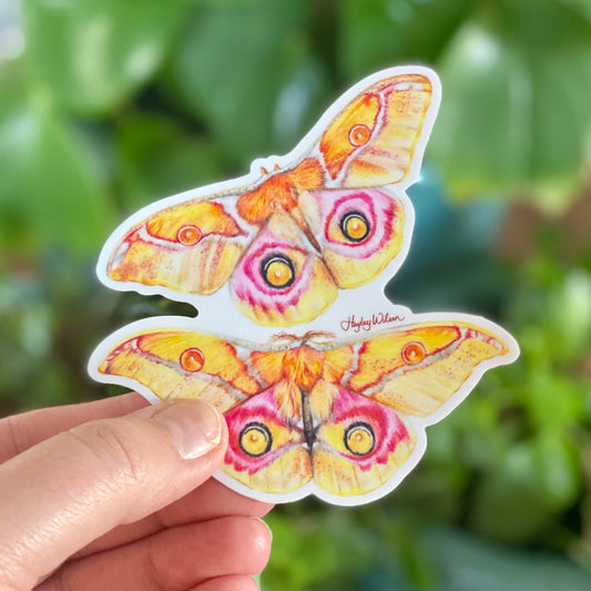 Emperor Moth - Sticker