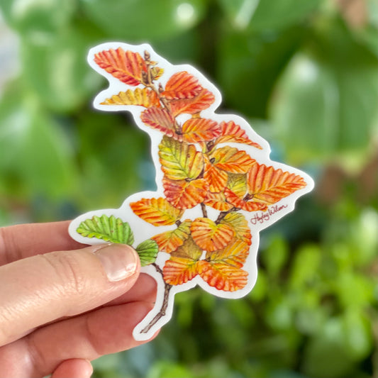 Nothefagus - Sticker