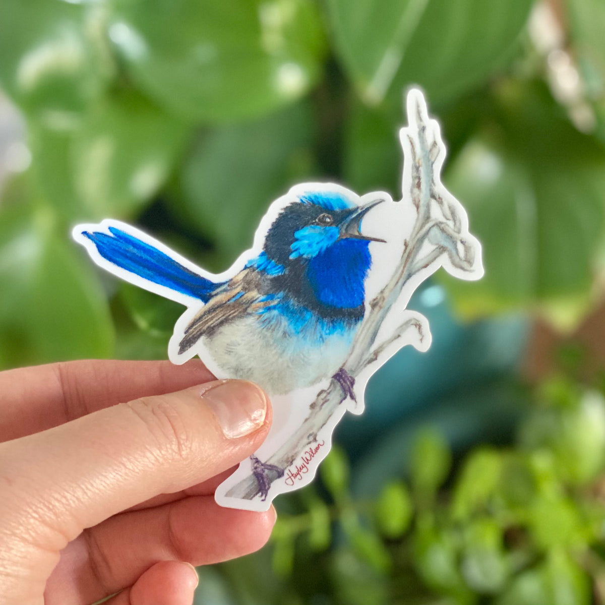 Blue Wren - Sticker