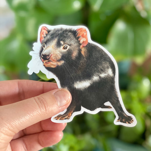Tasmanian Devil - Sticker
