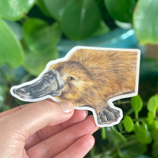 Platypus - Sticker