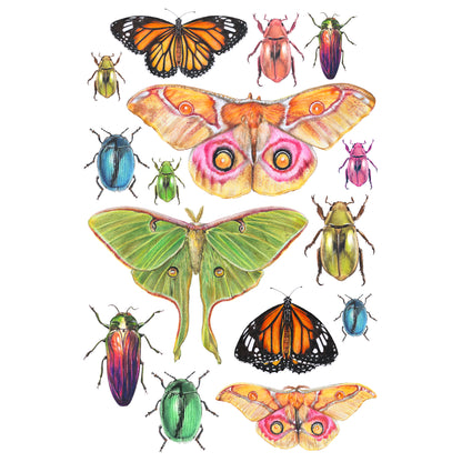 Insects - Fine Art Print