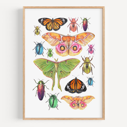 Insects - Fine Art Print