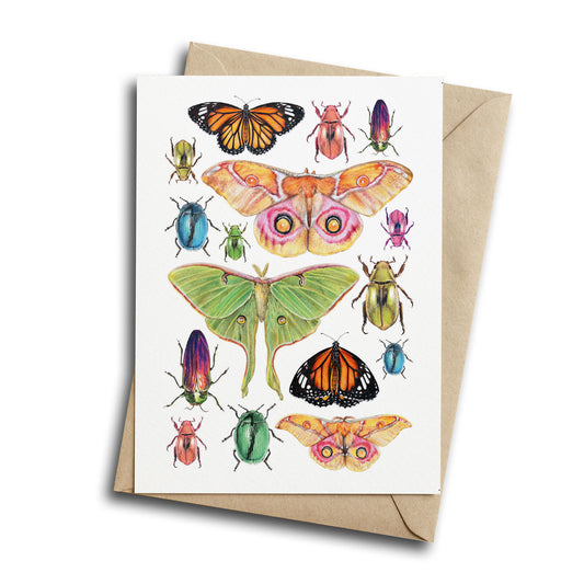 Insects - Greeting Card