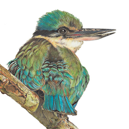Kingfisher - Fine Art Print