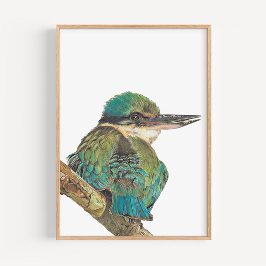 Kingfisher Fine Art Print