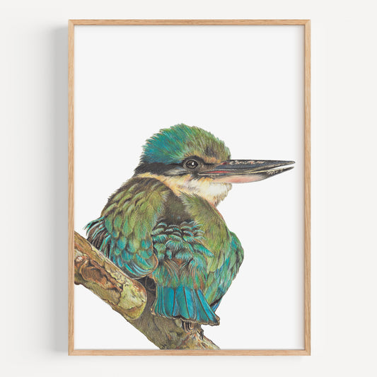 Kingfisher - Fine Art Print