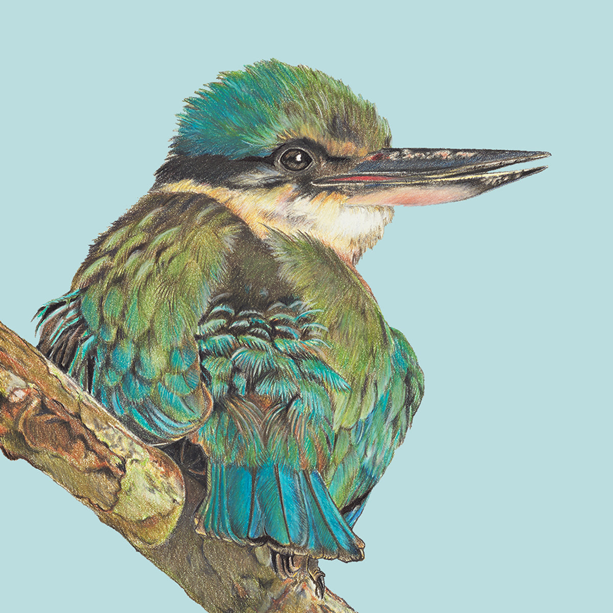 Kingfisher - Tea towel