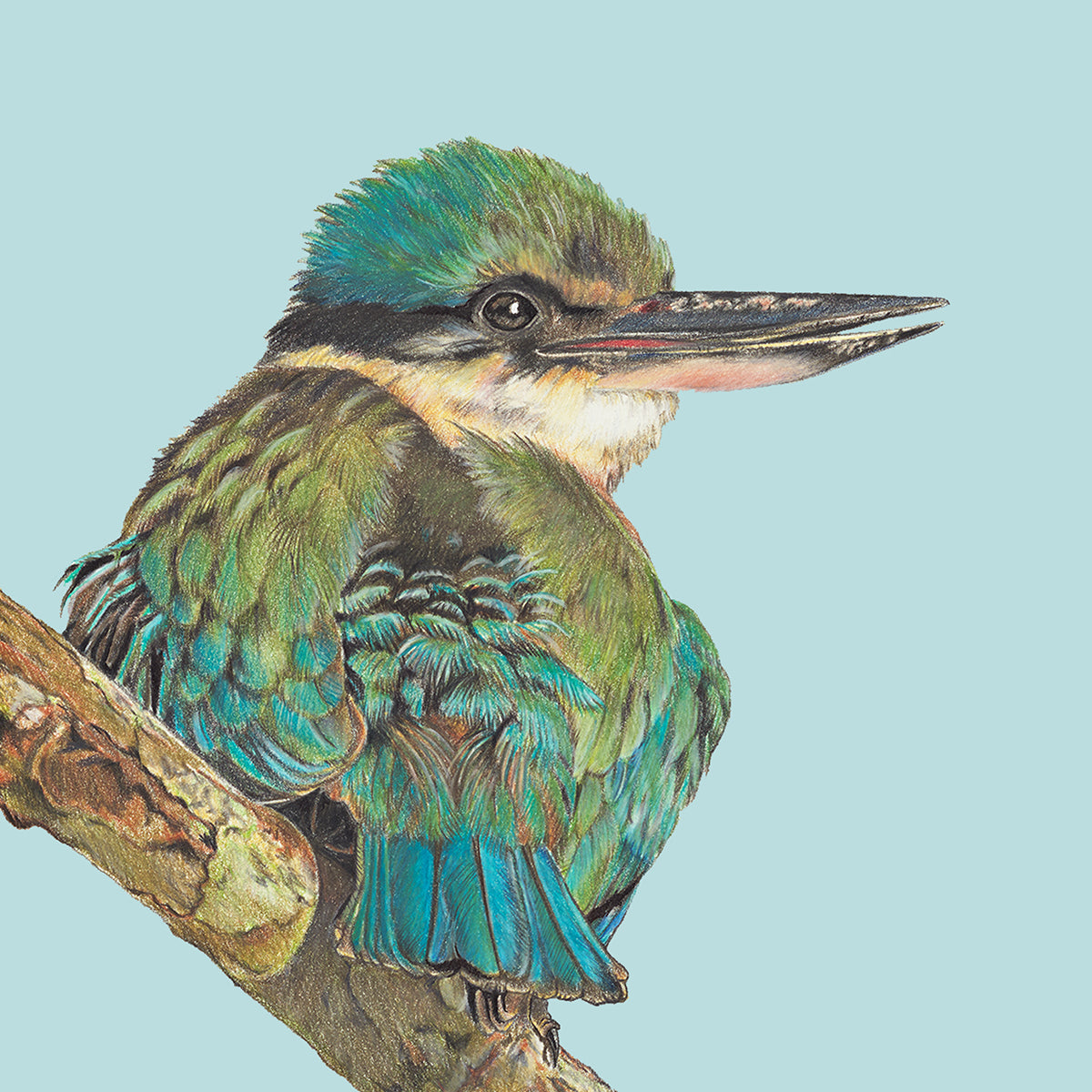 Kingfisher/mint Greeting Card