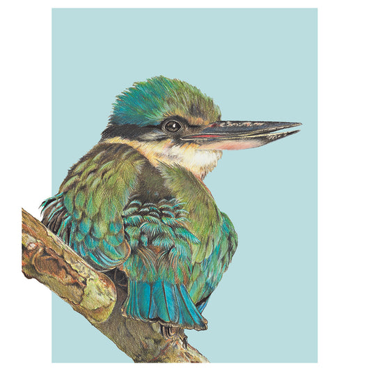 Kingfisher/mint Fine Art Print
