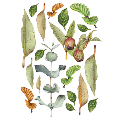 Leaves - Fine Art Print