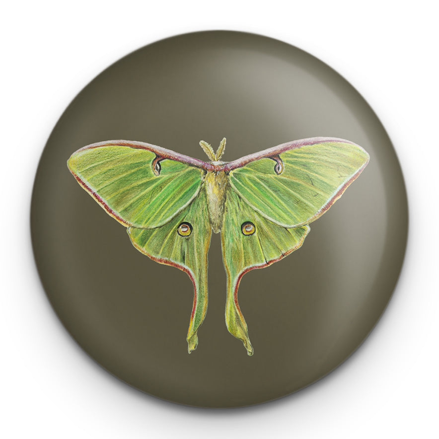 Luna Moth - Magnetic bottle opener