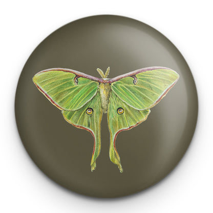 Luna Moth - Magnetic bottle opener