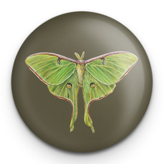 Luna Moth - Magnetic bottle opener