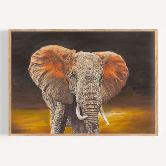 Majestic - Fine Art Print