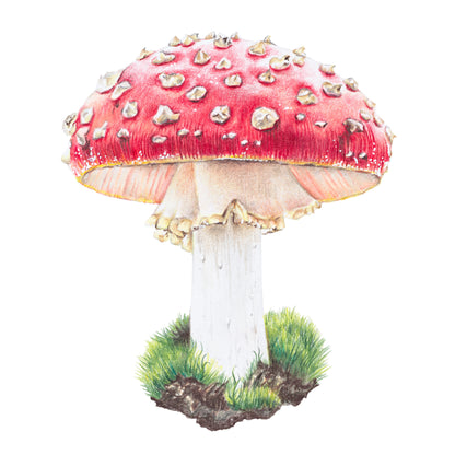 Magic Mushroom - Fine Art Print