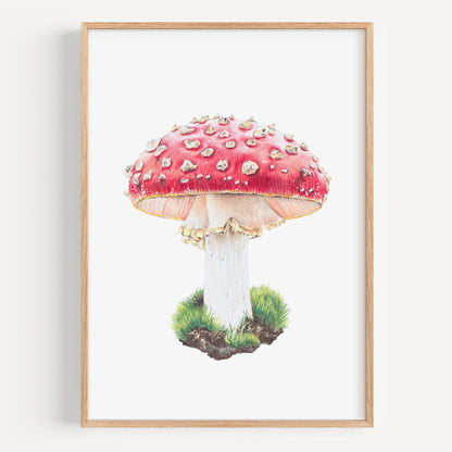Magic Mushroom - Fine Art Print