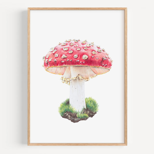 Magic Mushroom - Fine Art Print
