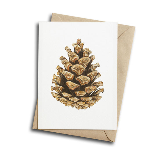 Pinecone - Greeting Card
