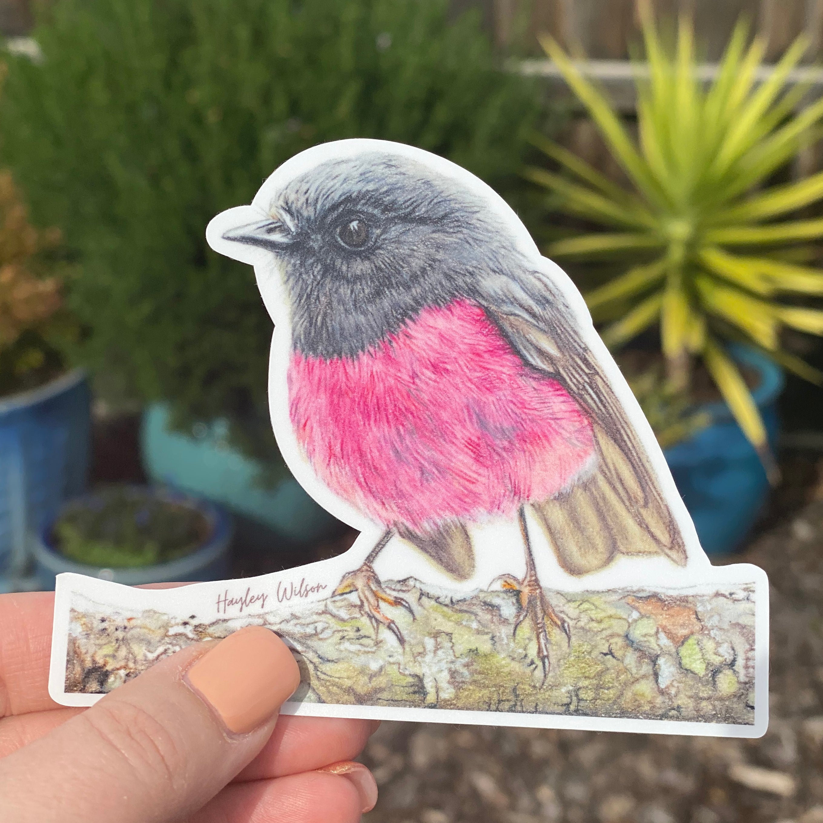 Pink Robin Sticker Pink Robin - Sticker – Hayley Wilson