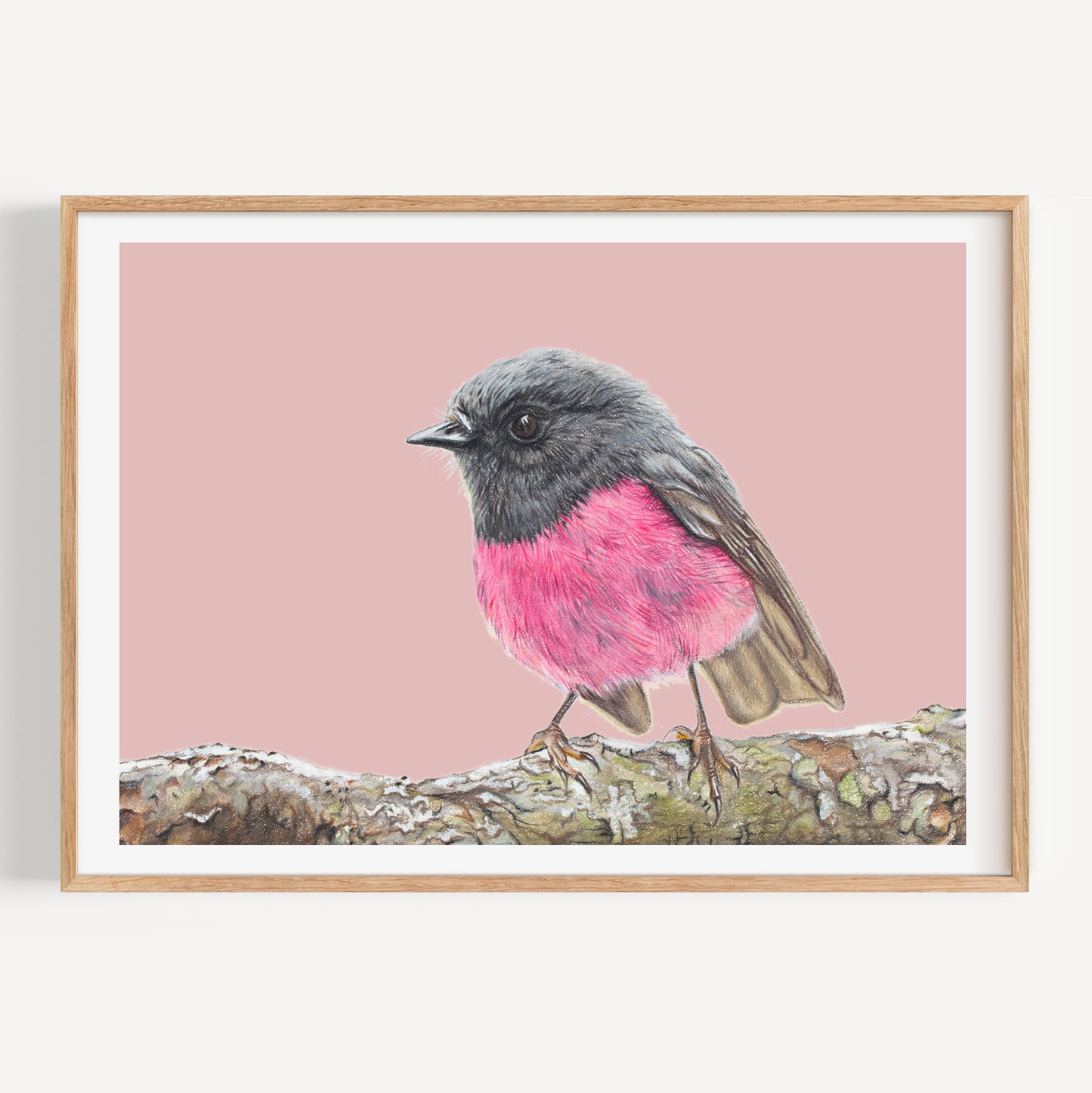 Pink Robin/mauve - Fine Art Print