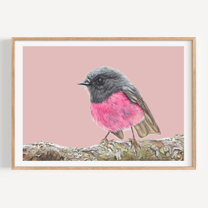 Pink Robin/mauve - Fine Art Print