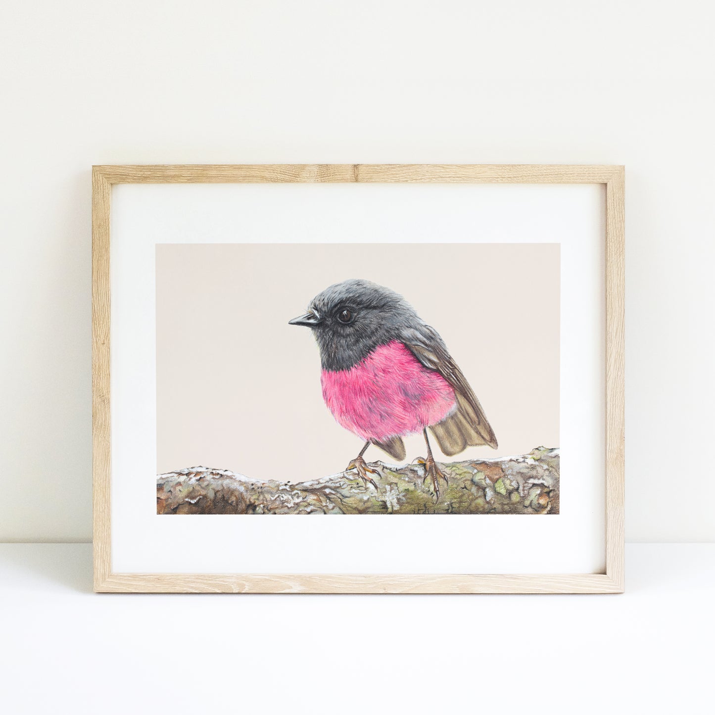 Pink Robin/pink Fine Art Print