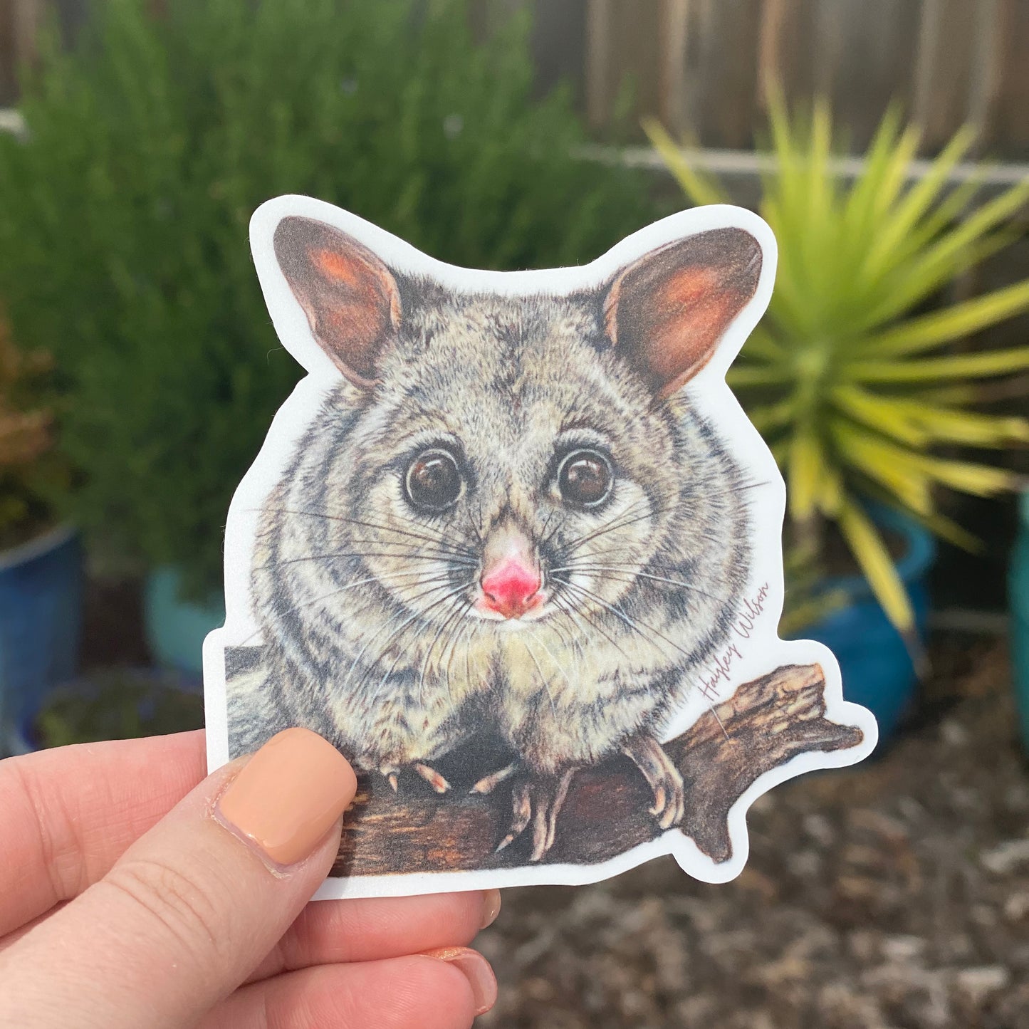 Brushtail Possum - Sticker