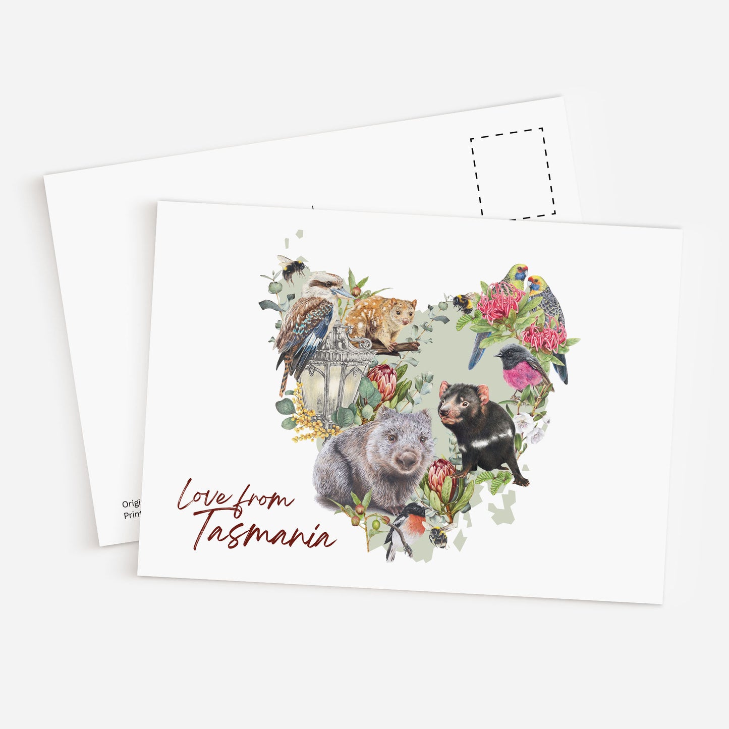 Love from Tasmania - Postcard