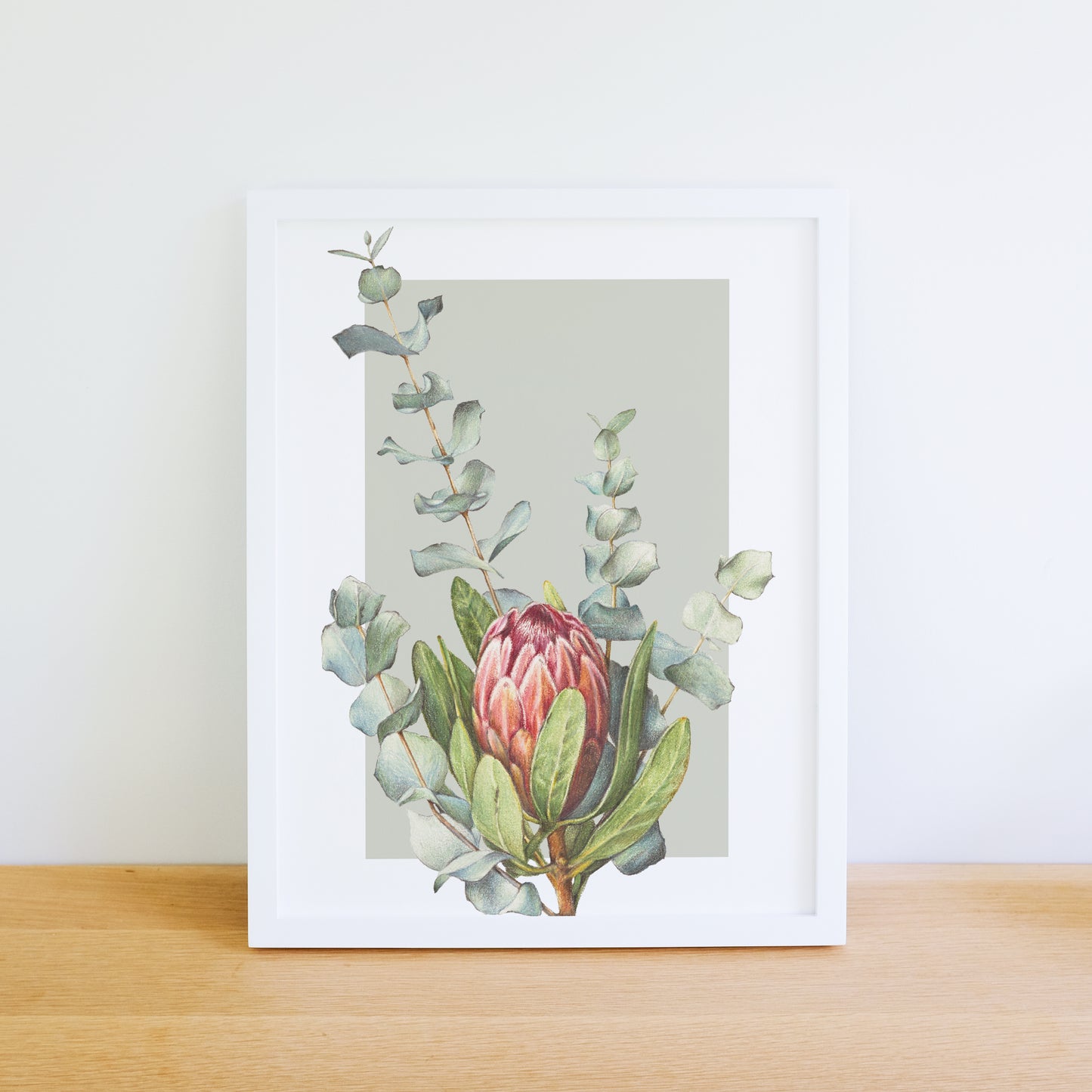 Protea/Eucalyptus/green Fine Art Print