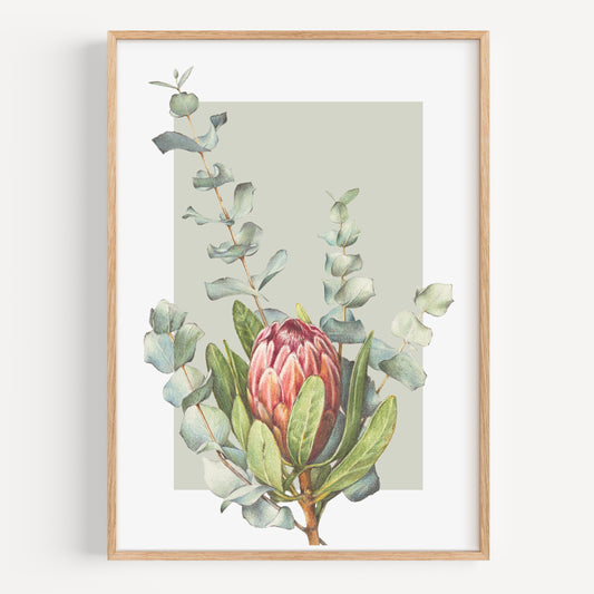 Protea/Eucalyptus green - Fine Art Print