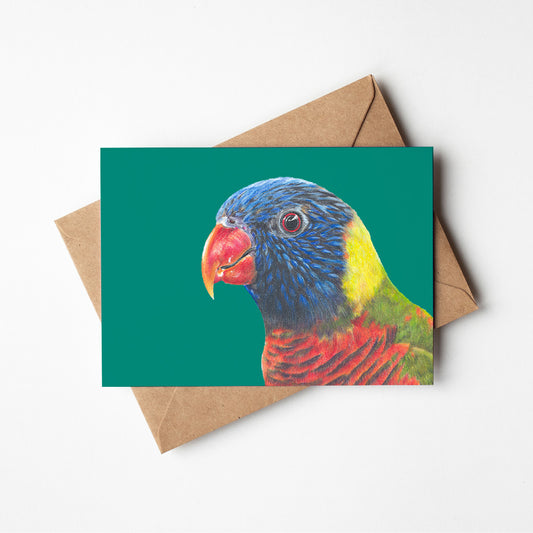 Rainbow Lorikeet/teal Greeting Card