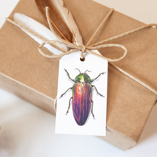 Rainbow Scarab Beetle Gift Tags - set of 6