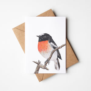 Scarlet Robin Greeting Card
