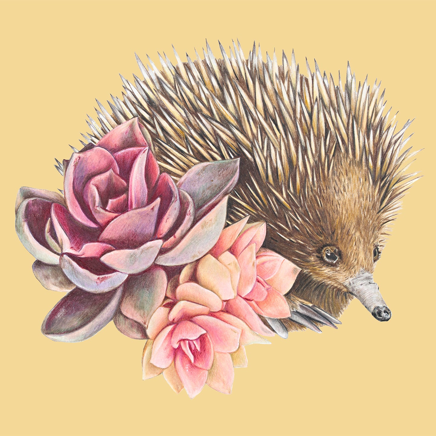 Short-beaked Echidna/yellow - Fine Art Print
