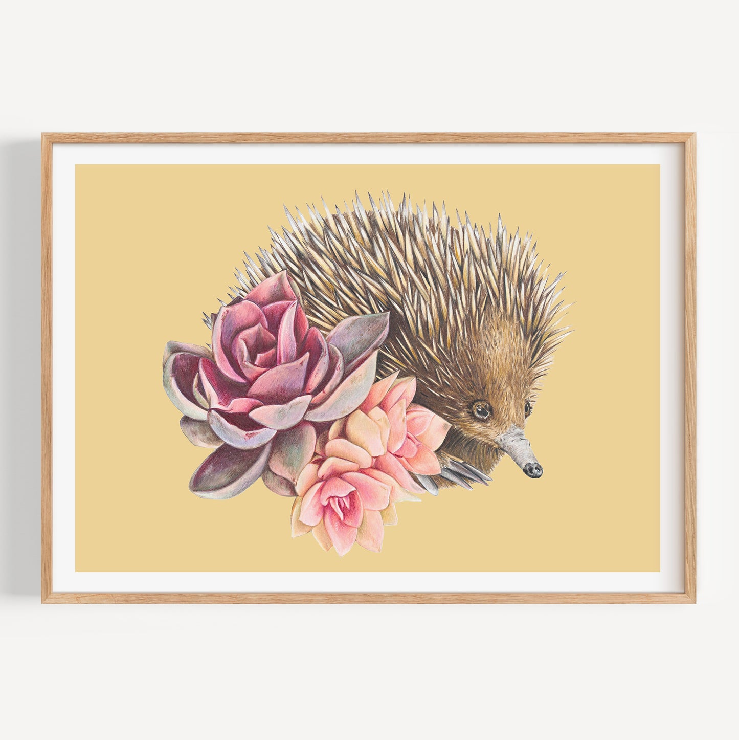 Short-beaked Echidna/yellow - Fine Art Print