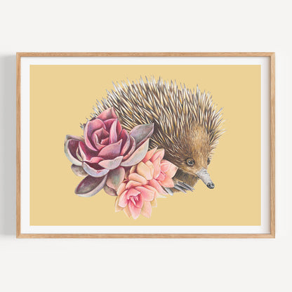 Short-beaked Echidna/yellow - Fine Art Print