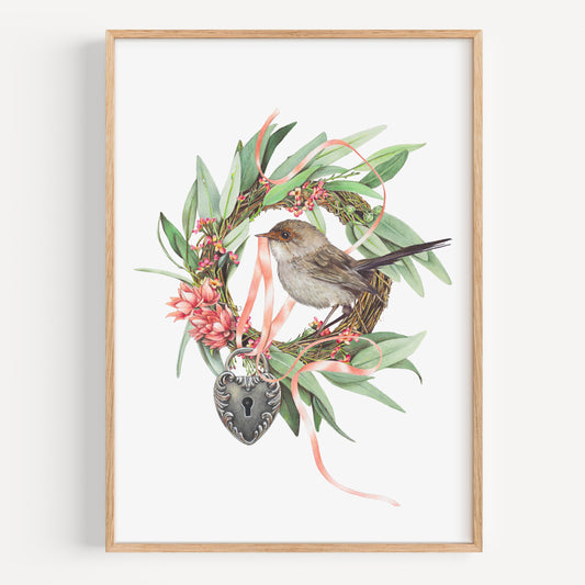 Superb Fairy Wren - Fine Art Print